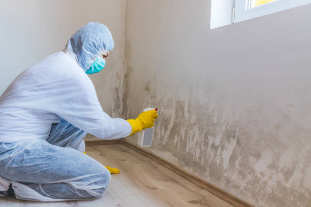 Hvac And Air Duct Mold Remediation inspection of HVAC system in Midland