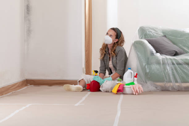 Mold Remediation service in Midland, Midland, NC